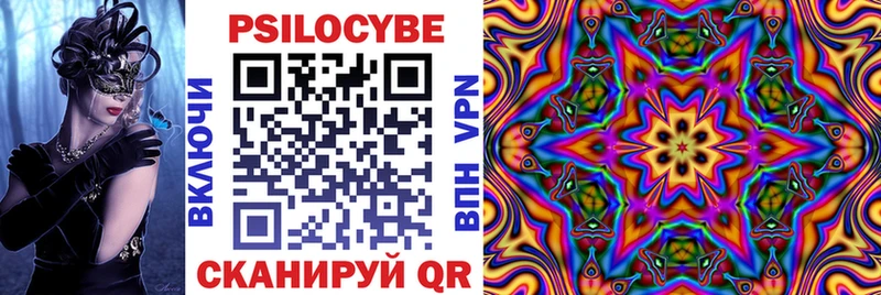где можно купить наркотик  Разумное  Галлюциногенные грибы Psilocybe 